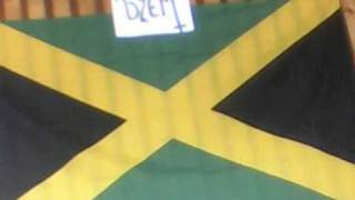 Maleo reggae rockers - dzikie serce screenshot 3