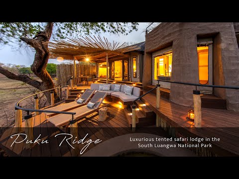 Puku Ridge - Wilderness Refined - Luxurious tented safari lodge in the South Luangwa National Park