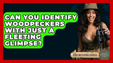 Can You Identify Woodpeckers With Just A Fleeting Glimpse? - Bird Watching Diaries