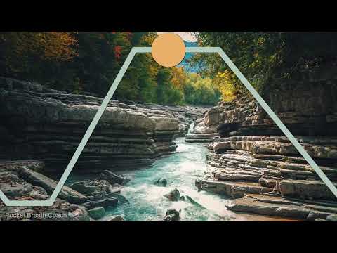 Vagus Nerve Reset The 4 4 6 2 Method 