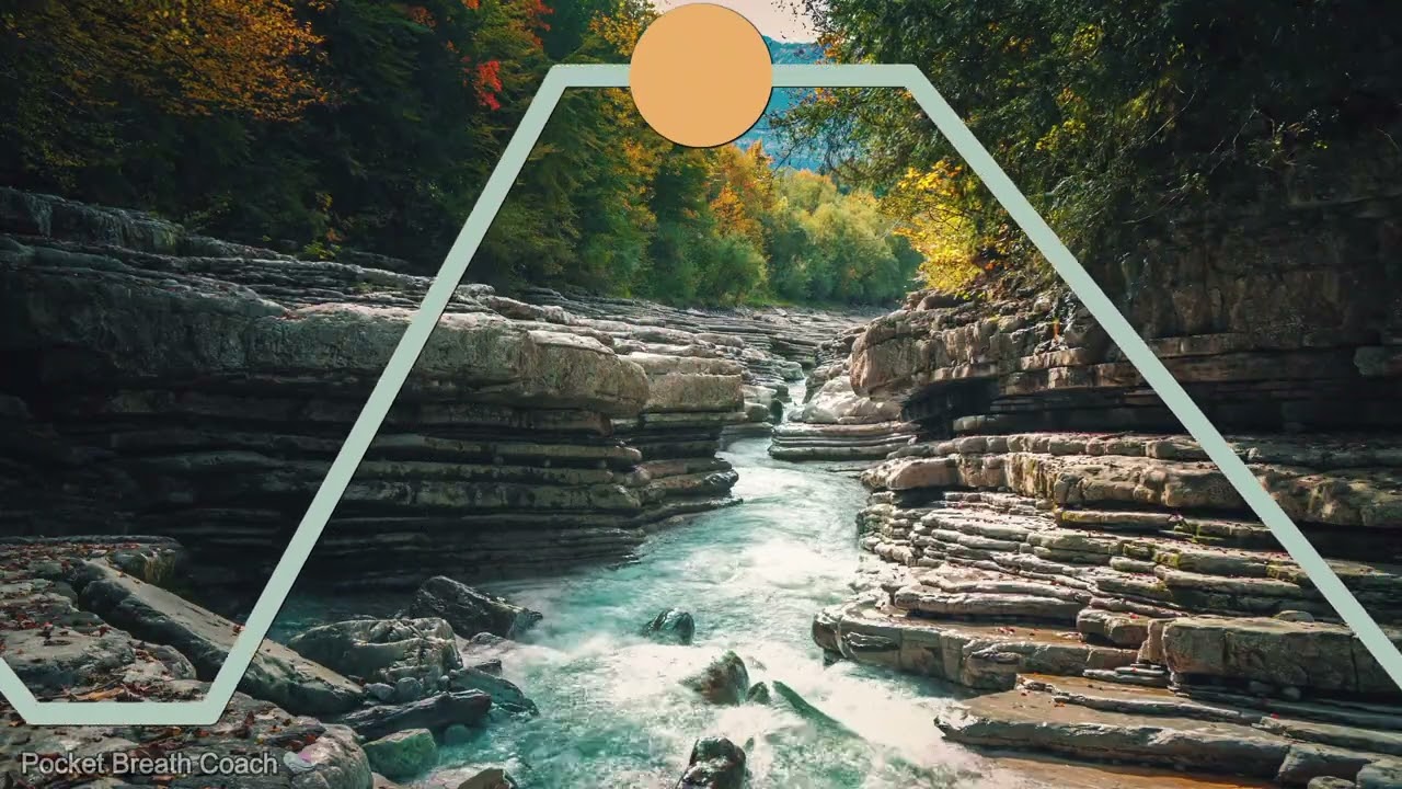 Vagus Nerve Reset: The 4-4-6-2 Method