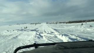 Дороги Ненецкого Округа
