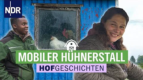 Ein mobiler Hhnerstall muss umziehen | Die Nordrep...