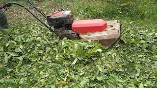 Meccanica Benassi rotofalce sfalciatutto RF 215 test duro e sound