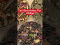 🍃The Best Herbs For Vitiligo🍃