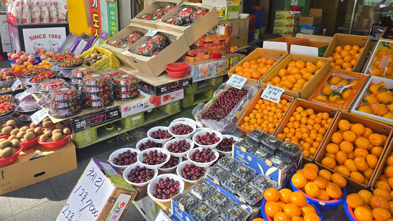 과일 일기  봄날인가 #생존본능 #부산과일장수