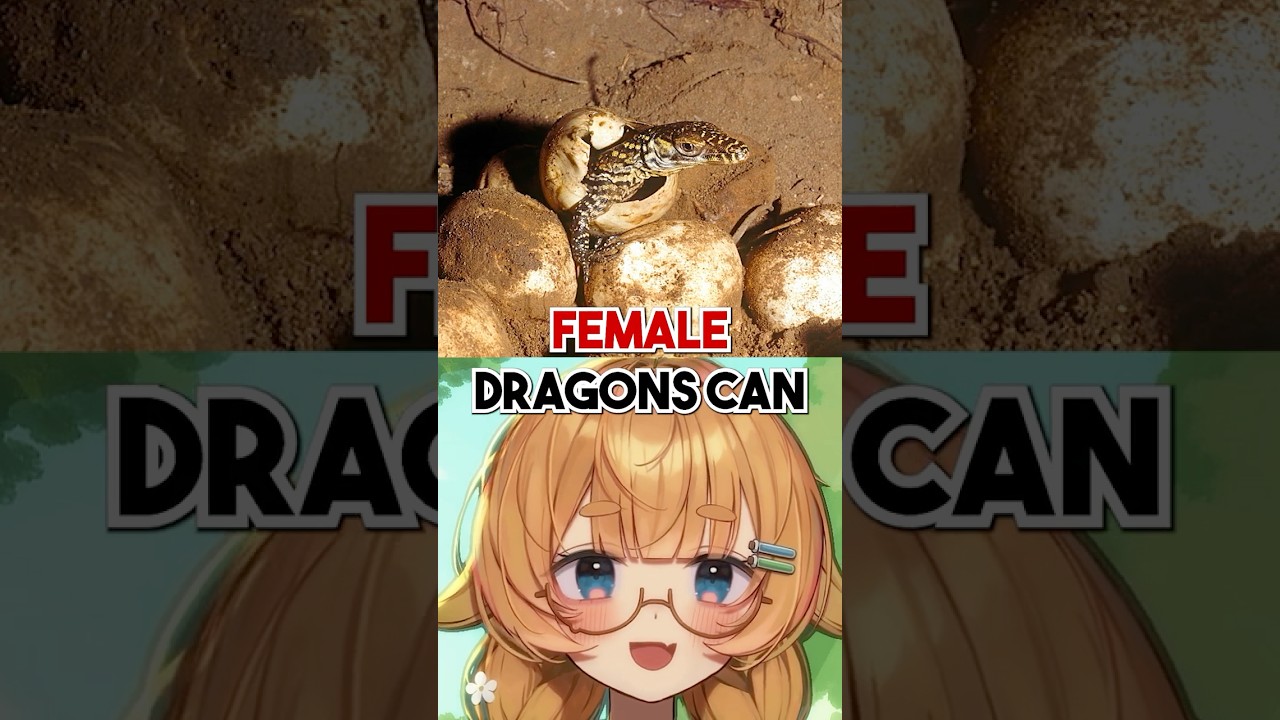 Драконы существуют?! Но они не извергают огонь...