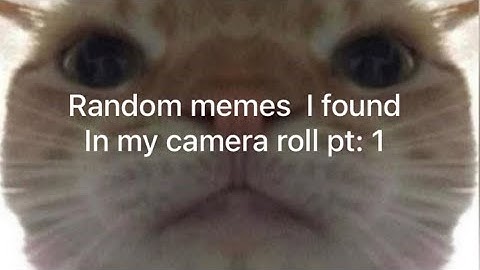 Random memes I found in my camera roll pt: 1