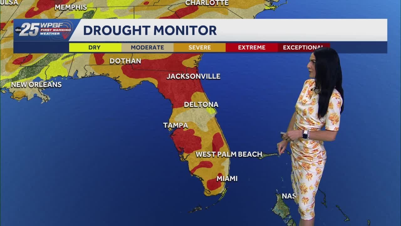 Scattered rain and storms overnight across South Florida