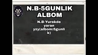 N.B-Yurekde yaran yzy(ALBOM-5GUNLUK)#aydayozin #bilyanm #harasat #tmraphiphop #darkray Resimi