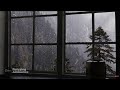 Rain on Window & Thunder Sounds - Heavy Rainstorm for Sleep, Meditation & Focus (10 Hours)