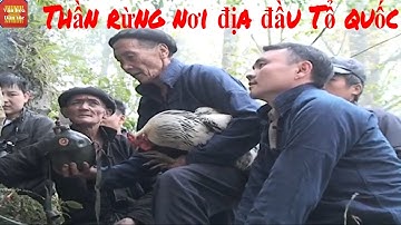 Lễ cúng sơn thần thổ địa của người Cơ Lao|| Lễ thần rừng dân tộc Cờ Lao| Cơ lao xanh, Hà Giang