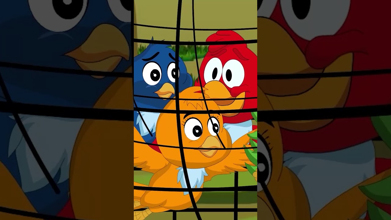 Tuni Chidiya Ka Plan Fail 🥲