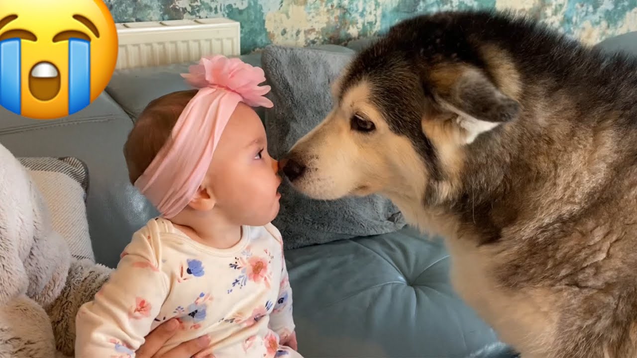 Baby Falls Over!! 😭