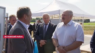 Лукашенко - чиновникам: Сядете в тюрьму за падеж скота! Поездка в Ветковский район