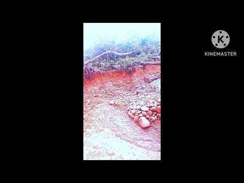 Cari makan wangwi mengam Hutang Rawah kaRlan sati men☠️🔥