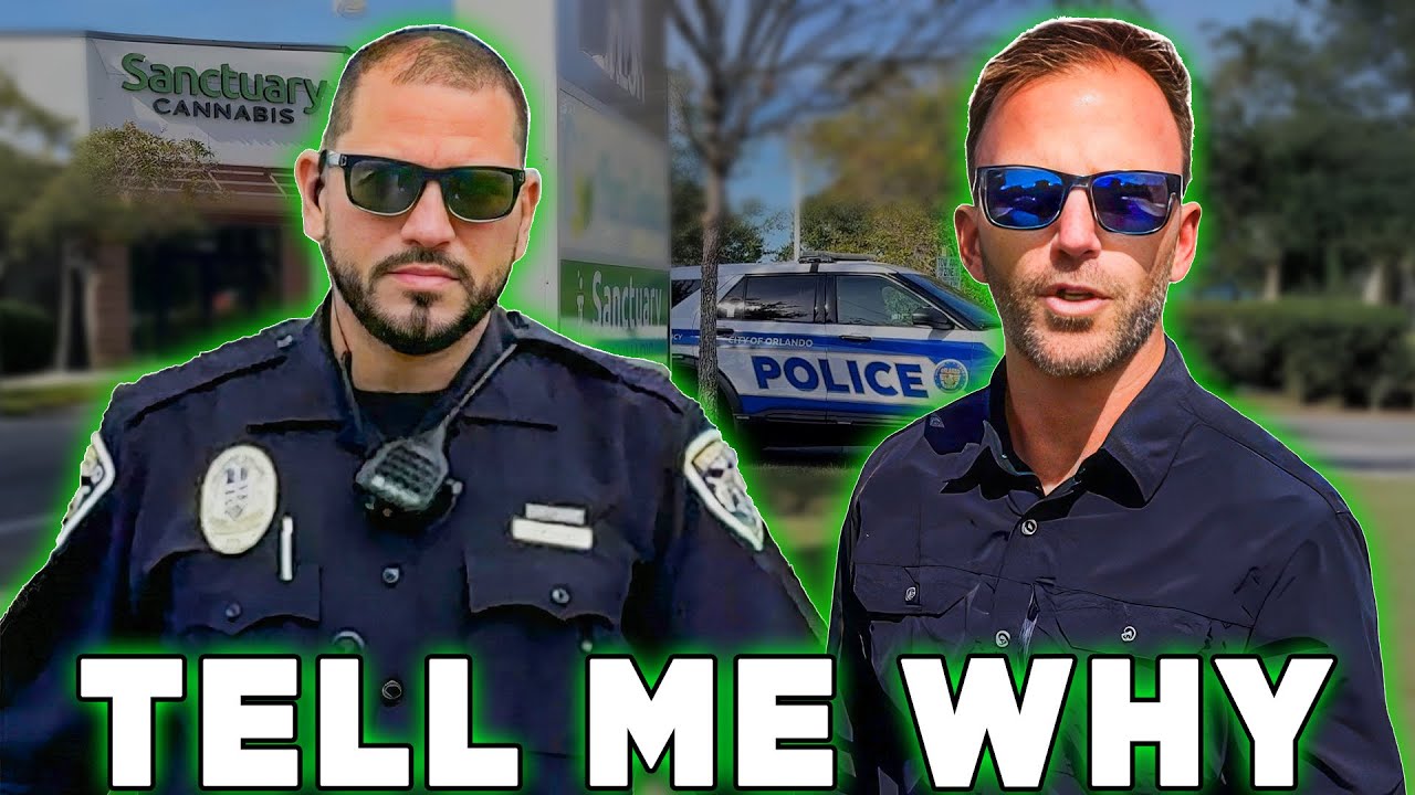 Заниматься своими делами — это ПРЕСТУПЛЕНИЕ? Паранойя в аптеке с травкой!