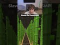 Guy On DonutSMP Has Slaves!