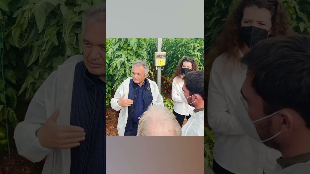 First Face to Face SusMedHouse Meeting