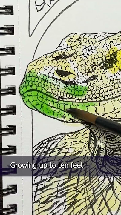 30+ Animal To Draw