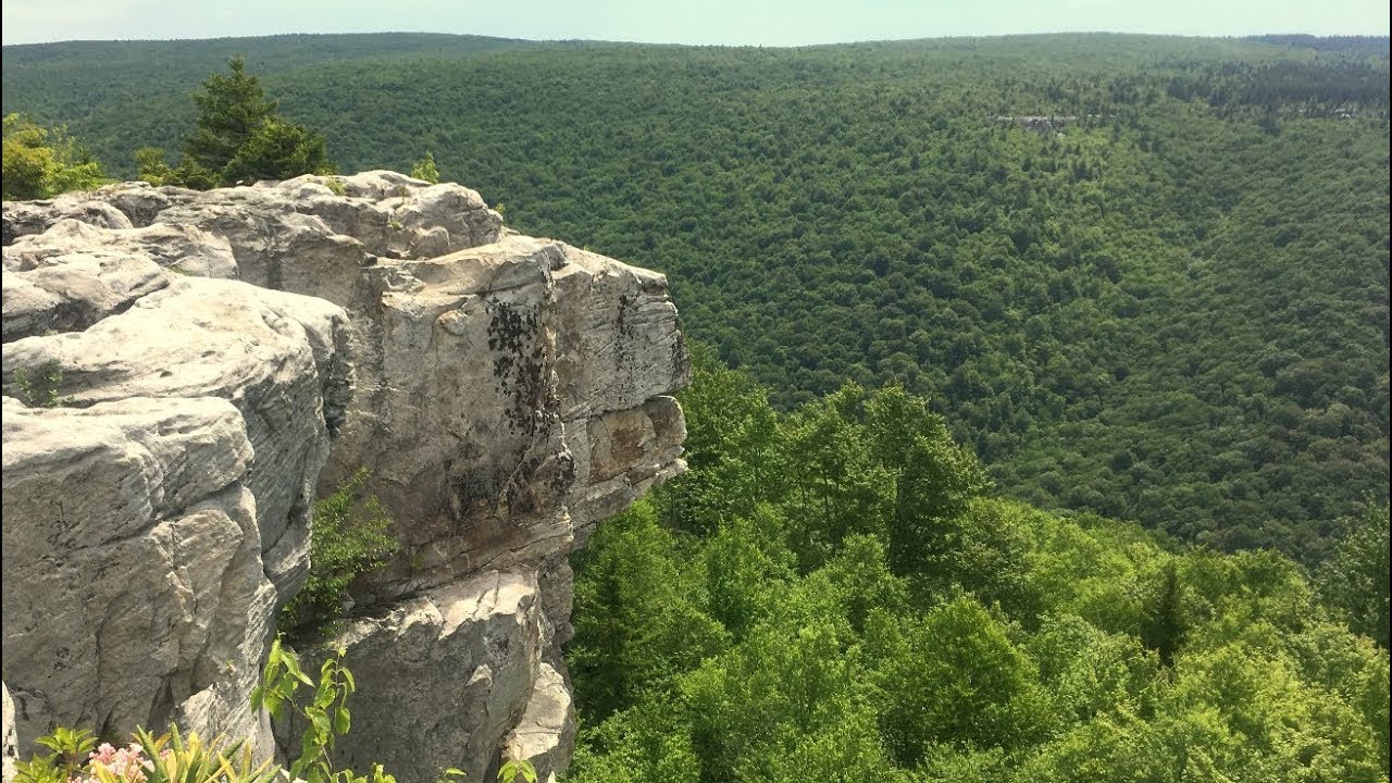 Dolly Sods Solo Backpacking - MaxresDefault