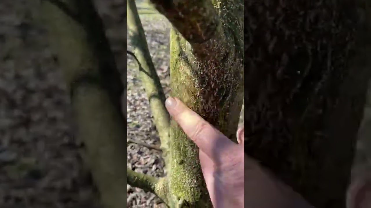 ΕΧΘΡΟΙ ΑΣΘΕΝΕΙΕΣ ΤΗΣ ΚΑΡΥΔΙΑΣ ΚΑΘΩΣ ΚΑΙ ΑΝΤΙΜΕΤΩΠΙΣΗ ΤΟΥΣ