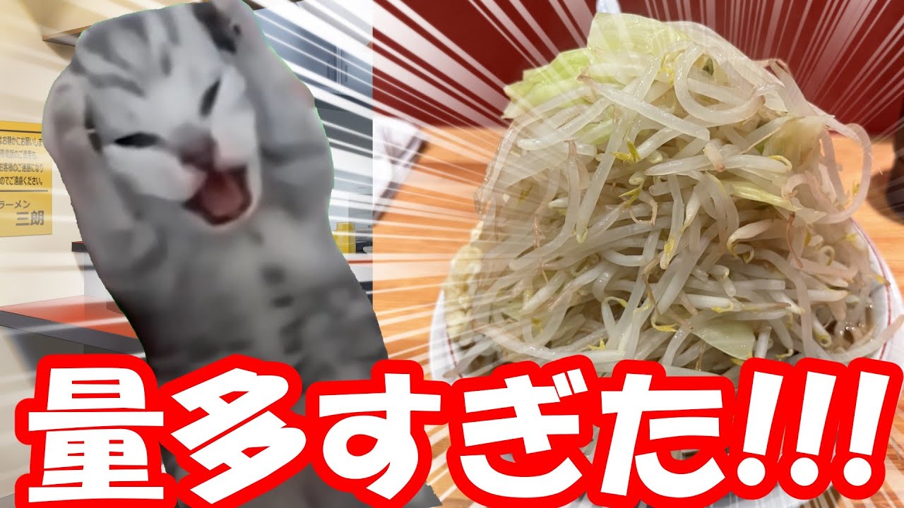 【猫ミーム】ラーメン二郎での事件【二郎系ラーメン】