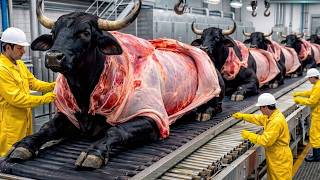 Inside the black Brahman Bull Factory – Leather &amp; Horn Production Process (Full Process)