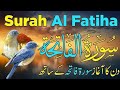 surah fatah | surah fatah with urdu translation | Quran with Urdu Hindi Translation