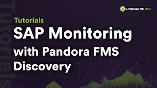 SAP Monitoring with Pandora FMS Discovery