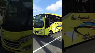 BUS MANIA #shorts #busbasuri #buspariwisata #busmania #shortsviral