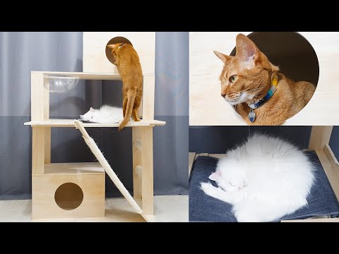 DIY Amazing Cat Tower for My Three cats