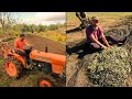 Off-Grid Homestead Life | Olive Harvest, Winter Garden Planting &amp; Tractor Work in Portugal
