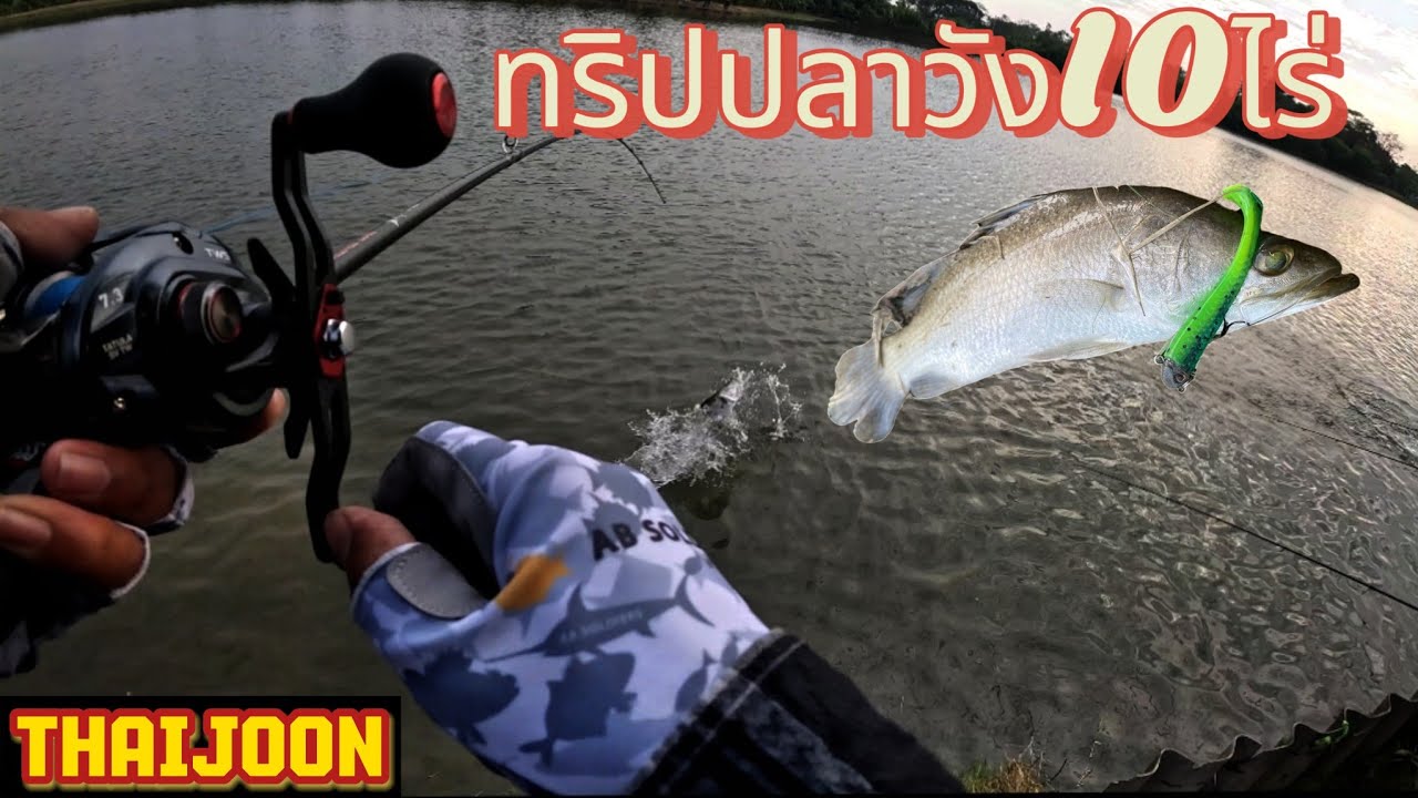 ทริปปลาตัน อย่างเดือด อย่างมันส์🔥#fishing #กะพงบุฟเฟต์