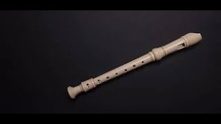 INSTRUMENTAL MUSIC /IM 028 / RECORDER INSTRUMENTAL MUSIC /COVER BY CEDBORINSTRUMUSICAL10