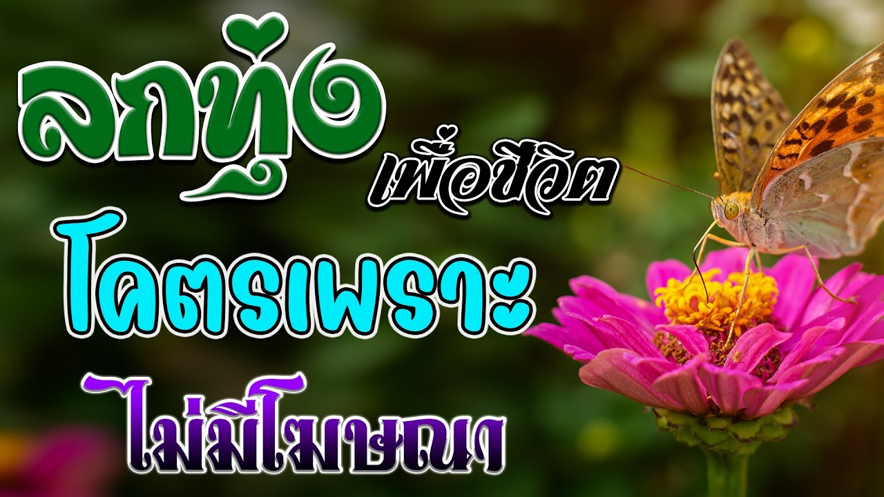 ลูกทุ่งเพราะมาก ลูกทุ่งเพื่อชีวิตโคตรเพราะ ฟังต่อเนื่องหลายเพลง ไม่มีโฆษณา #ฟังแบบต่อเนื่อง
