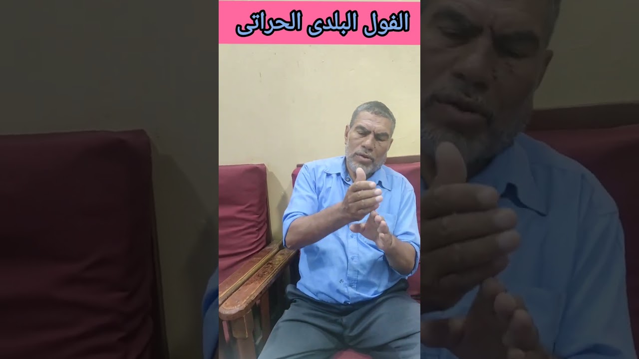 #الفول_البلدى