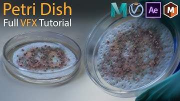 Petri Dish VFX — Full Visual Effects Tutorial for Maya, V-Ray, After Effects, and Mocha [Deprecated]