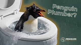 Plumbing Problems? Don’t Trust a Penguin! | Penguin Home Services Fort Collins