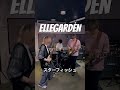【神イントロ】この入りカッコ良すぎません？#エルレガーデン #ellegarden #スターフィッシュ #演奏してみた #弾いてみた #ギター #guitar #エルレ #gibson #shorts