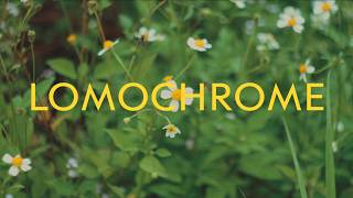 Lomography Sent Me These Films To Try: Lomochrome Purple & Lomochrome Metropolis