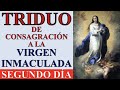 ORACIÓN DE LA LUZ A TRAVÉS DE LA VIRGEN INMACULADA PARA SACAR TODA FUERZA DEL MAL DE TU CASA | DÍA 2