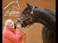 Equine Affaire Educational Program - Linda Tellington-Jones and T-Touch for Horses