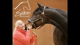 Equine Affaire Educational Program  Linda TellingtonJones and TTouch for Horses