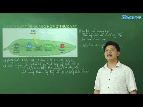 Video: Thuật ngữ quang hợp bắt nguồn từ đâu?