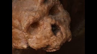 ssRNA:virus evolution