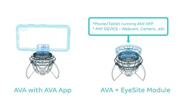 AVA and the EyeSite Module