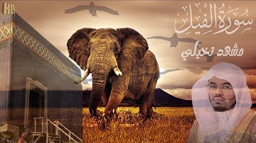 سورة الفيل || مشهد تخيلي || بصوت الشيخ ياسر الدوسري || Surah Al-Fil || Sheikh Yasser Al-Dosari