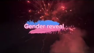 Extravagant gender reveal GenderRevBabyAnnouncementGenderSurpriseFamilyCelebrationbabyontheway