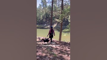 Thumbnail of When you say nothing at all Lyrics-Credit: Keith Withley|Cover by Emily Linge